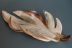 Decorative vase 'Leaf'