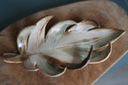 Decorative vase 'Leaf'
