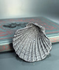 A realistic gray scallop shell figurine with detailed ribbing and black speckles, displayed on a dark gray surface with a blurred vintage book in the background.
