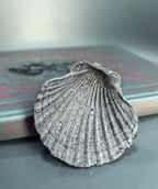 A realistic gray scallop shell figurine with detailed ribbing and black speckles, displayed on a dark gray surface with a blurred vintage book in the background.