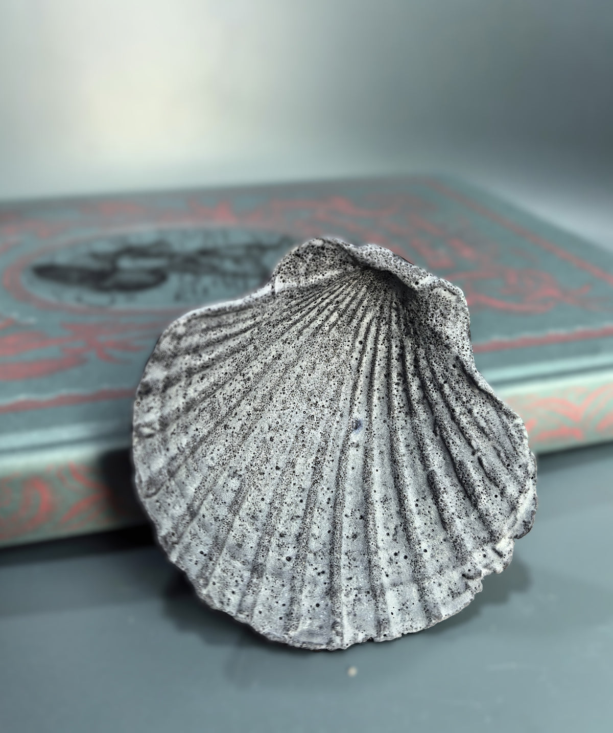 A realistic gray scallop shell figurine with detailed ribbing and black speckles, displayed on a dark gray surface with a blurred vintage book in the background.