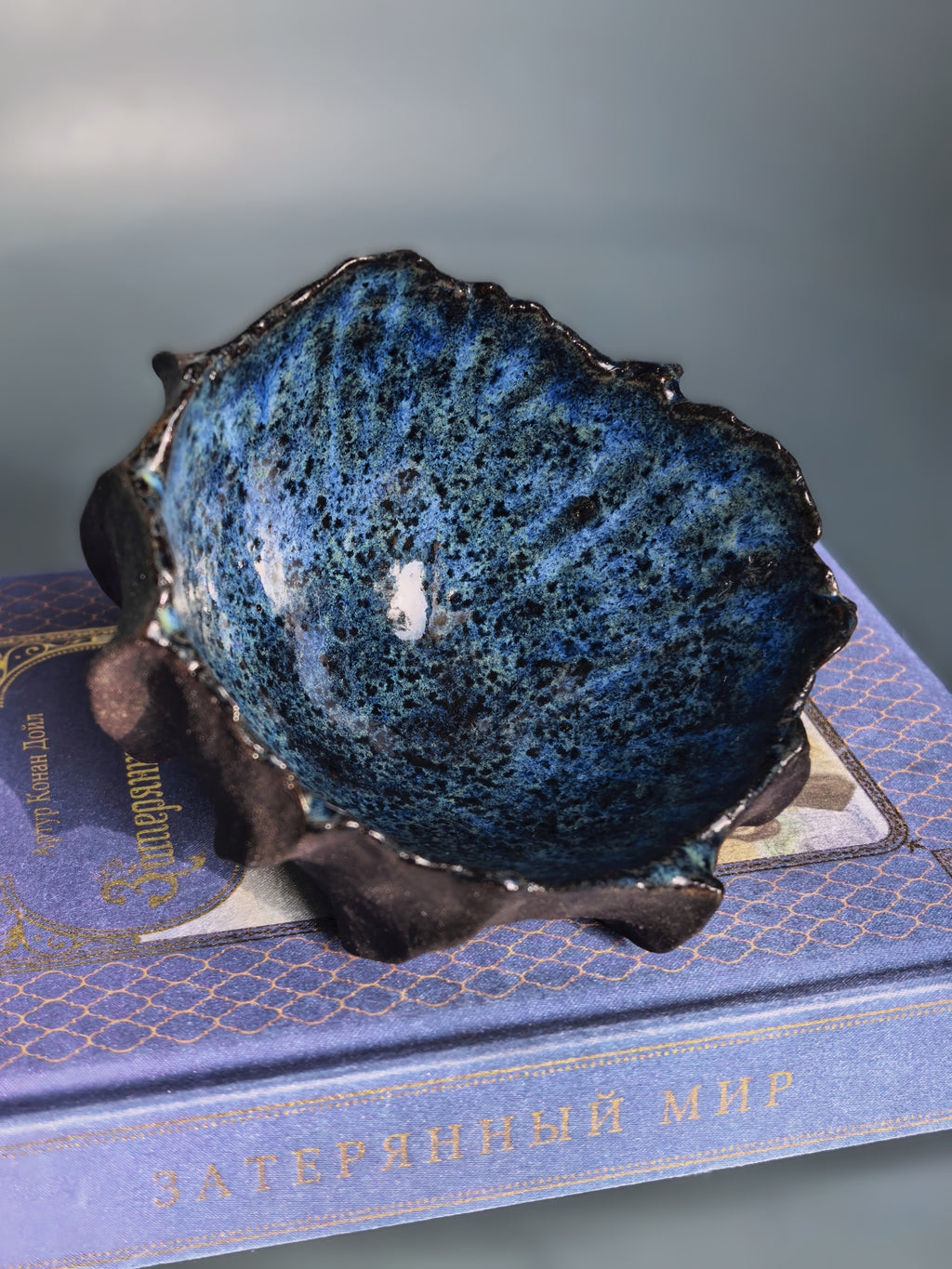 A handmade ceramic bowl with a textured, organic rim, featuring a deep blue and black speckled glaze, resting on top of a decorative blue book.