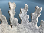 Close-up of a ceramic plate or dish edge with a textured, crackled glaze in off-white and gray, set against a smooth blue background.
