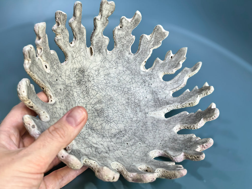 A hand holding a decorative ceramic plate with a coral or sea urchin-inspired organic silhouette and a crackled glaze, shown against a blue background.