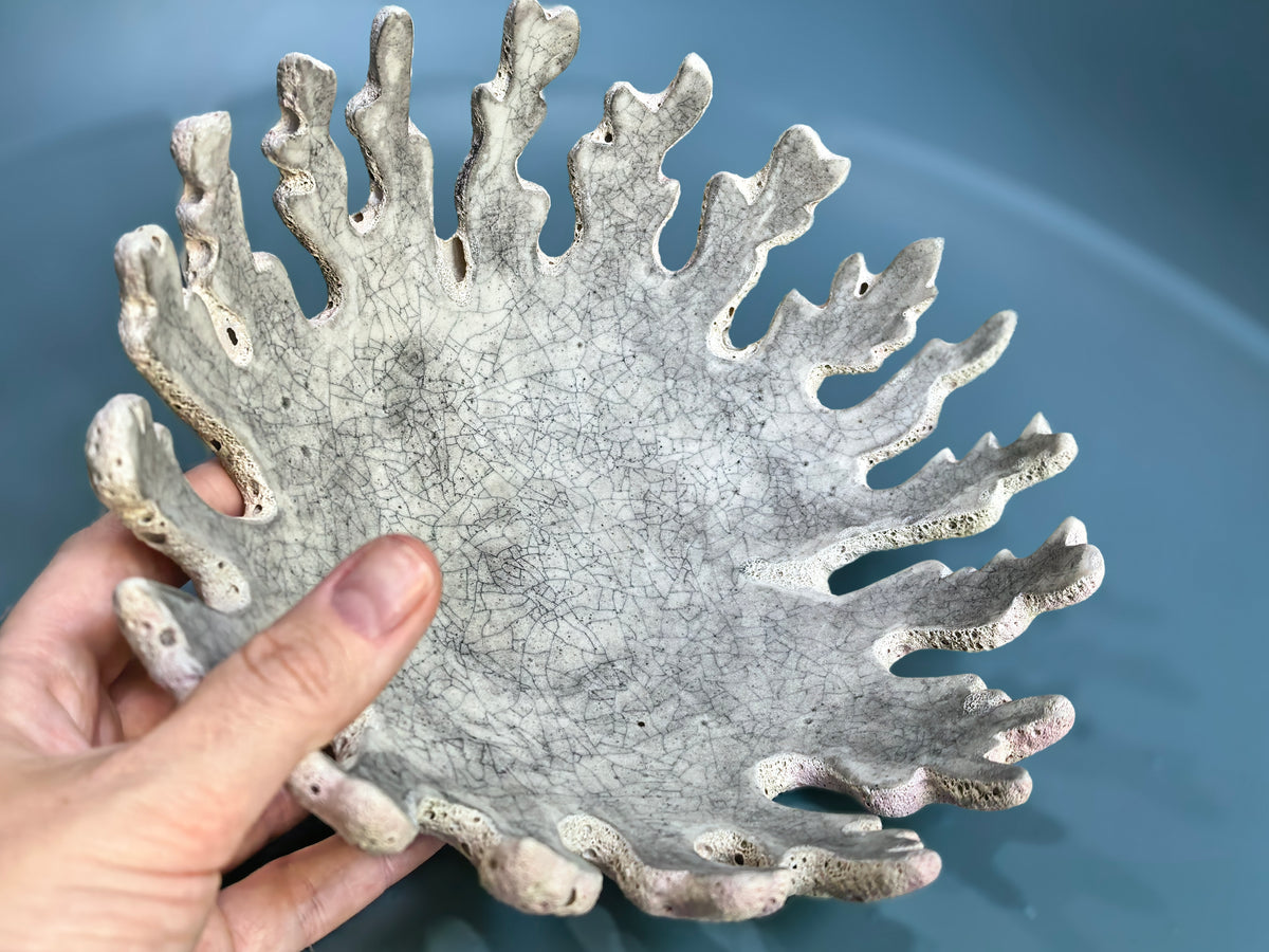 A hand holding a decorative ceramic plate with a coral or sea urchin-inspired organic silhouette and a crackled glaze, shown against a blue background.