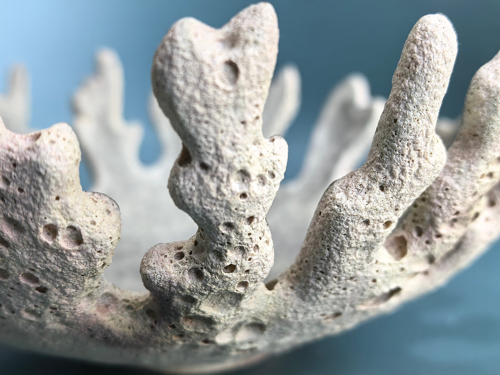 A close-up of a porous, coral-like decorative object in light beige against a soft blue background.