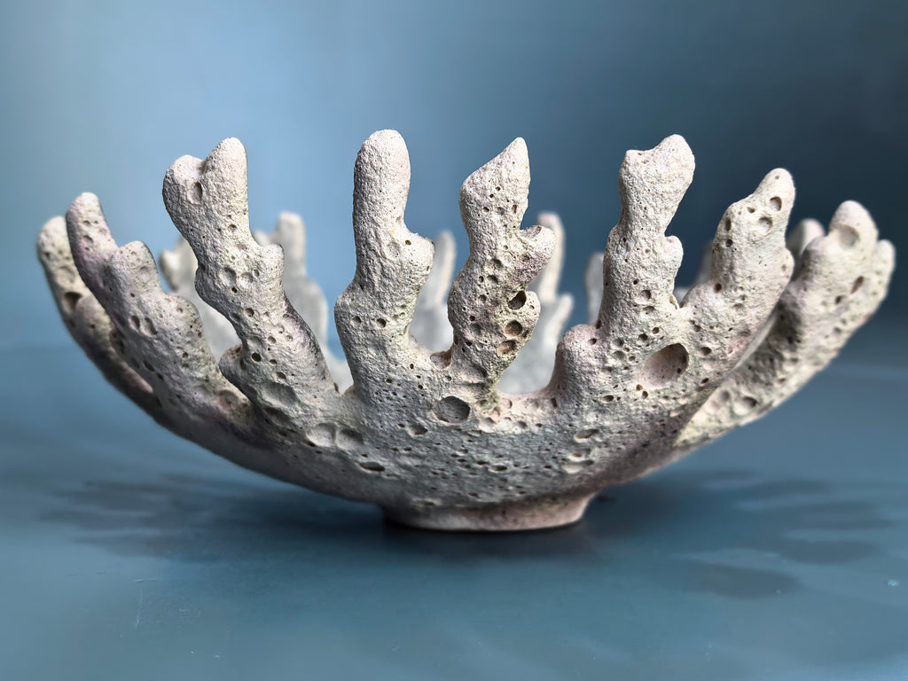 A decorative coral-shaped bowl made from porous light gray stone or ceramic, photographed on a smooth blue gradient background.