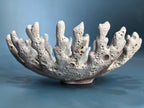 A decorative coral-shaped bowl made from porous light gray stone or ceramic, photographed on a smooth blue gradient background.